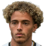 Figueiredo