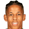 Andre Vidigal
