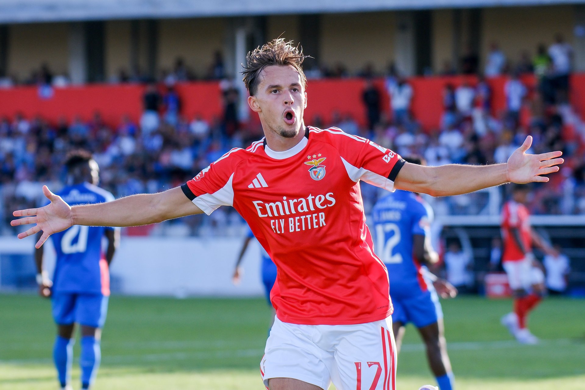 Dedic quer deixar o Benfica!