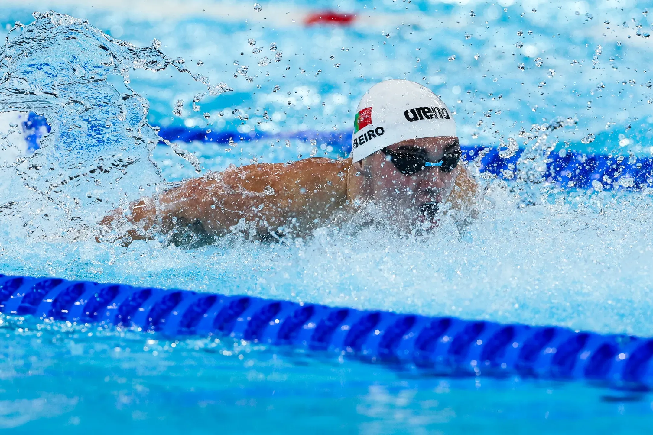 Diogo Ribeiro na final dos 50m livres