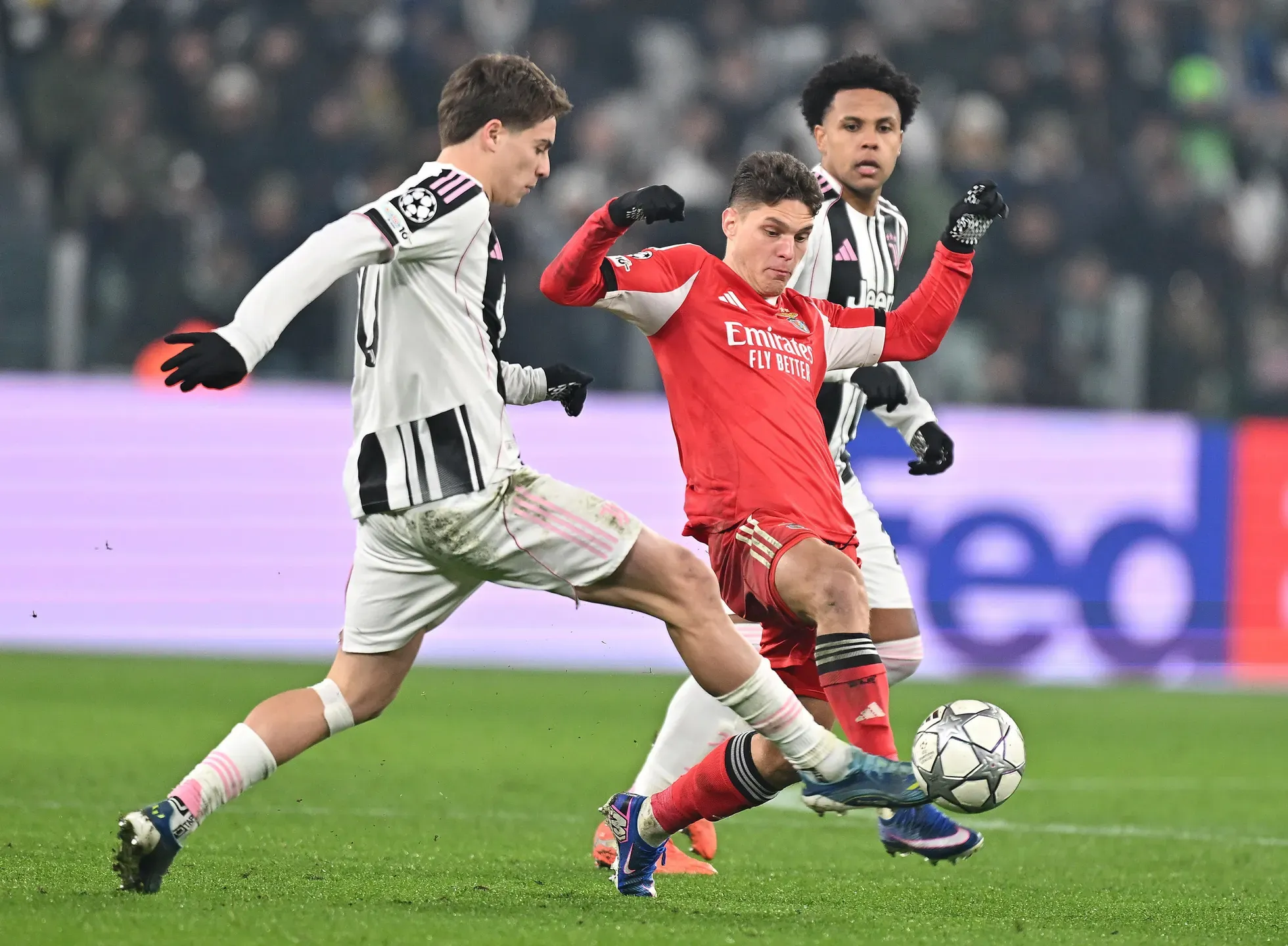 Marco Silva quer segurar Sudakov no Benfica