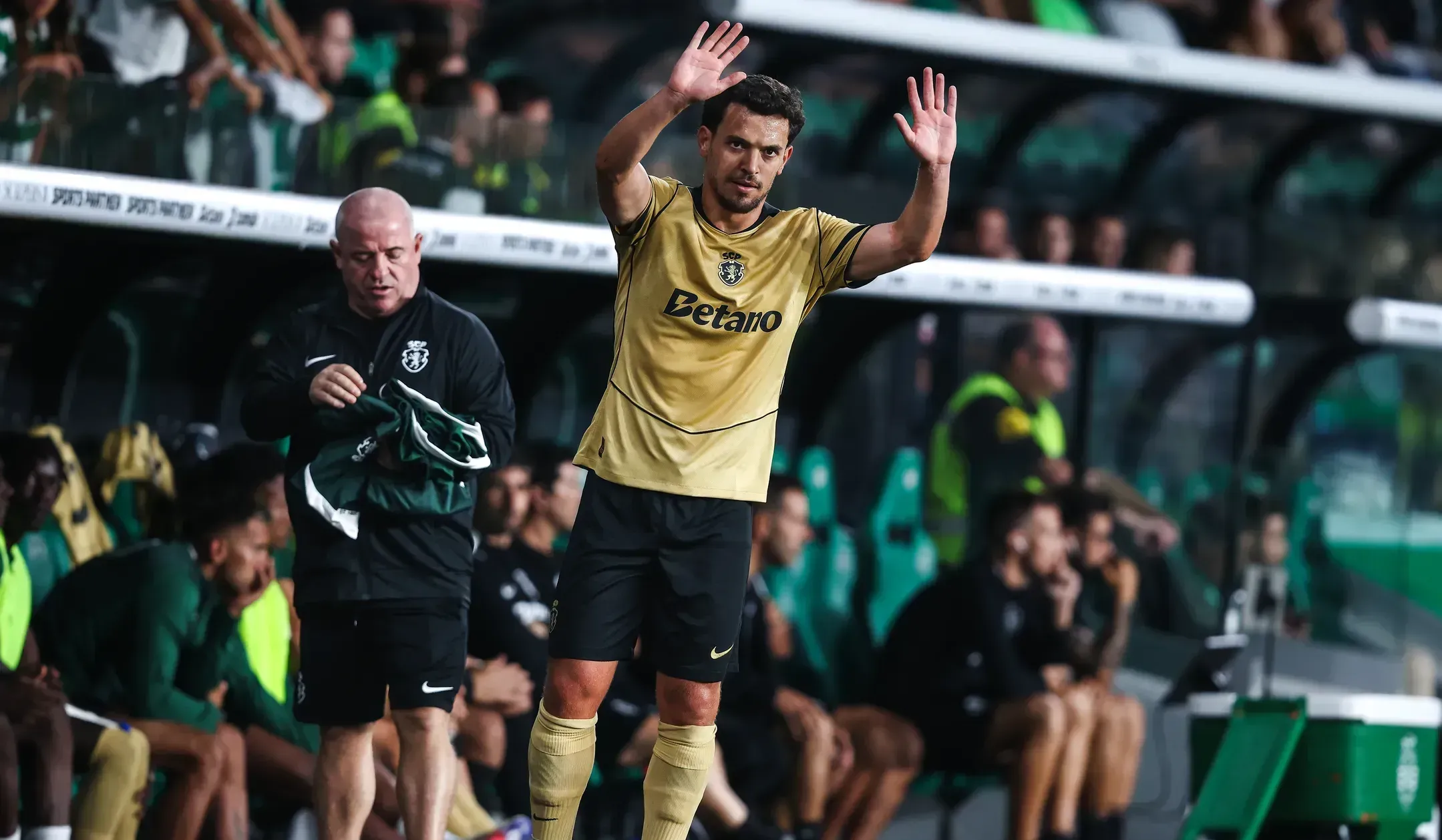 Besiktas entra na corrida por Pedro Gonçalves
