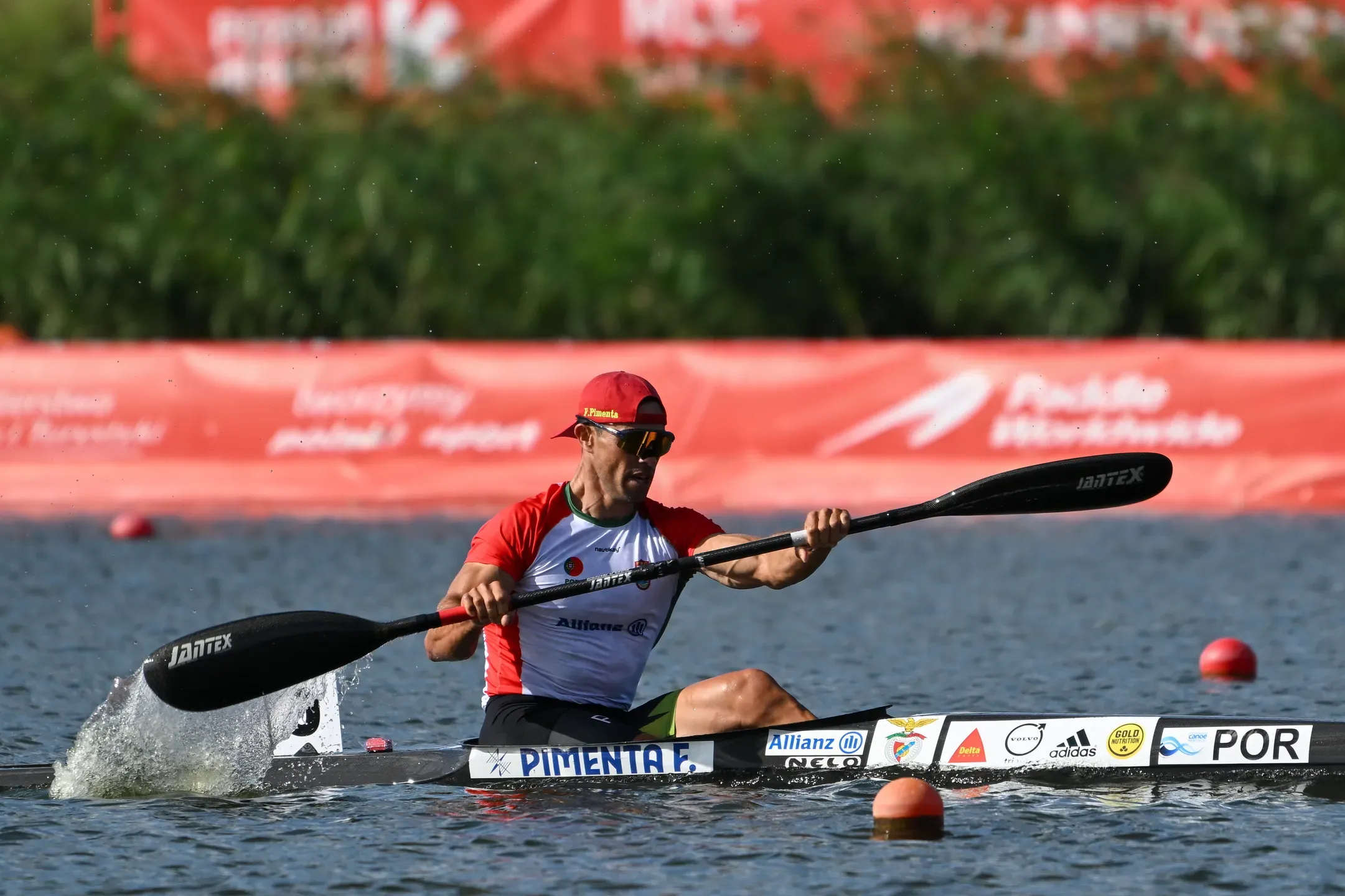 Fernando Pimenta campeão mundial de K1 5000 metros  