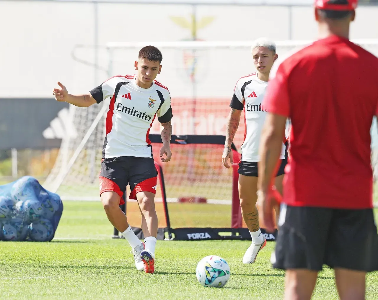 Echeverri já trabalha às ordens de Marco Silva
