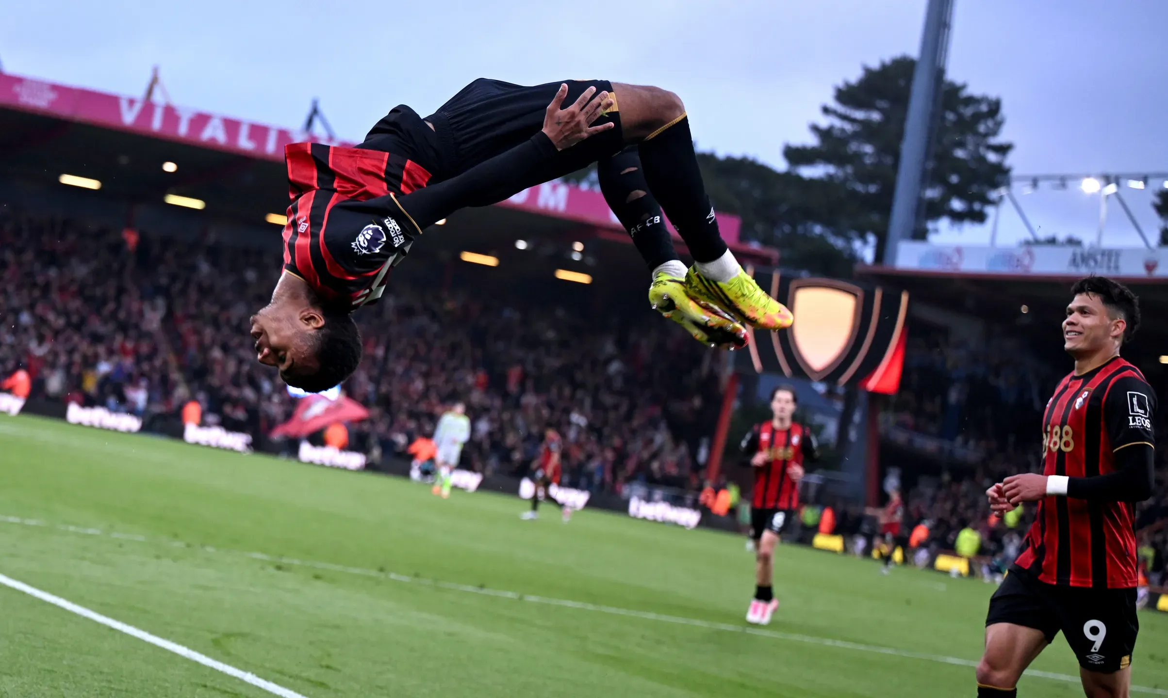 Kroupi não deve sair de Bournemouth