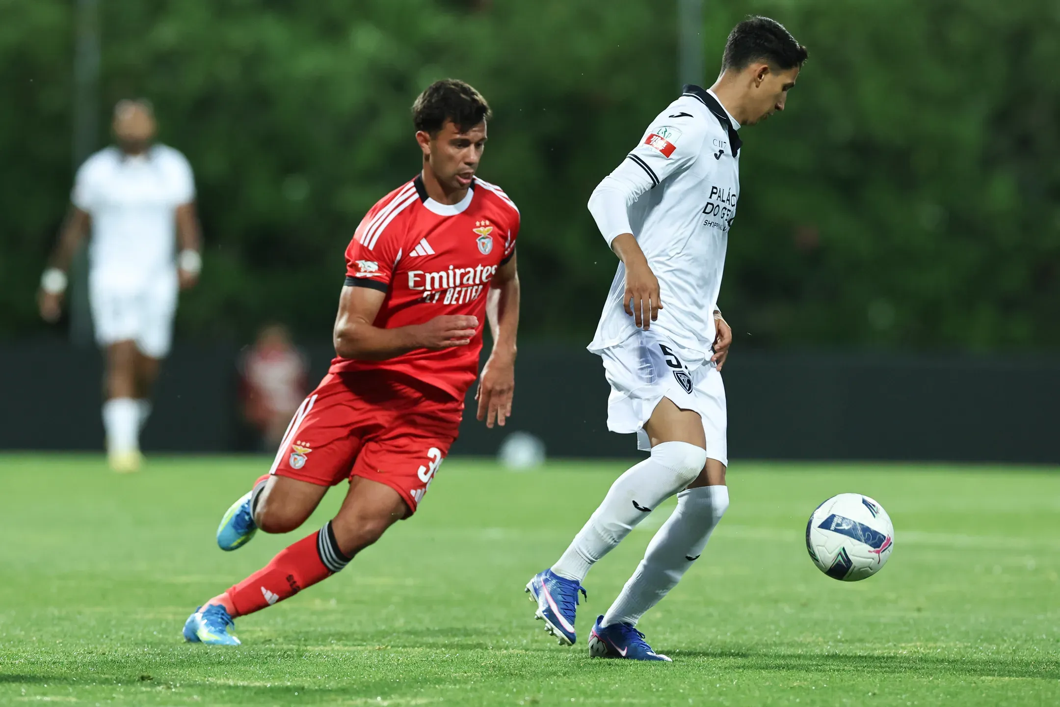 Oficial: Henrique Araújo deixa Benfica para rumar ao Casa Pia  