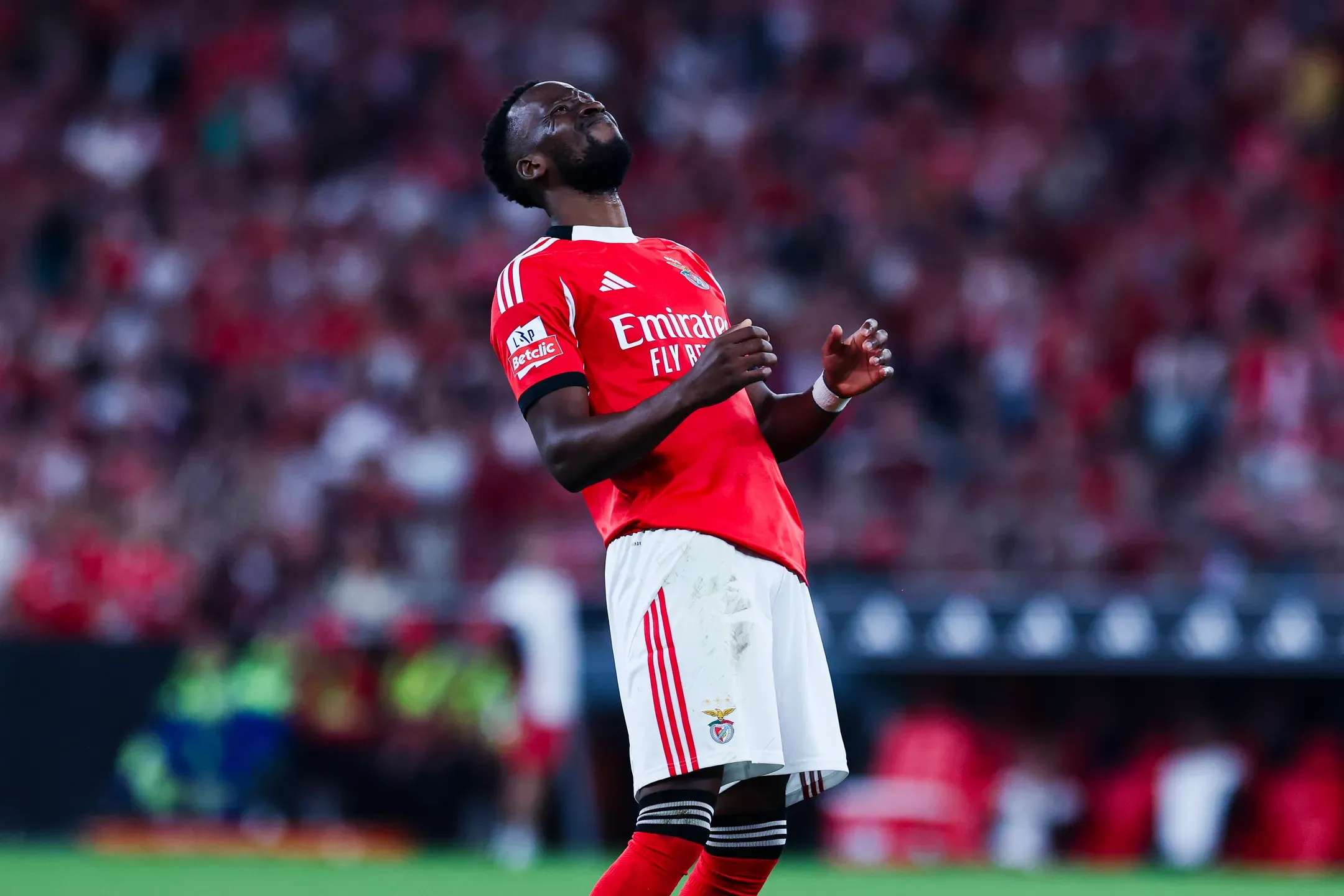 Sunderland tenta Lukebakio em contrarrelógio
