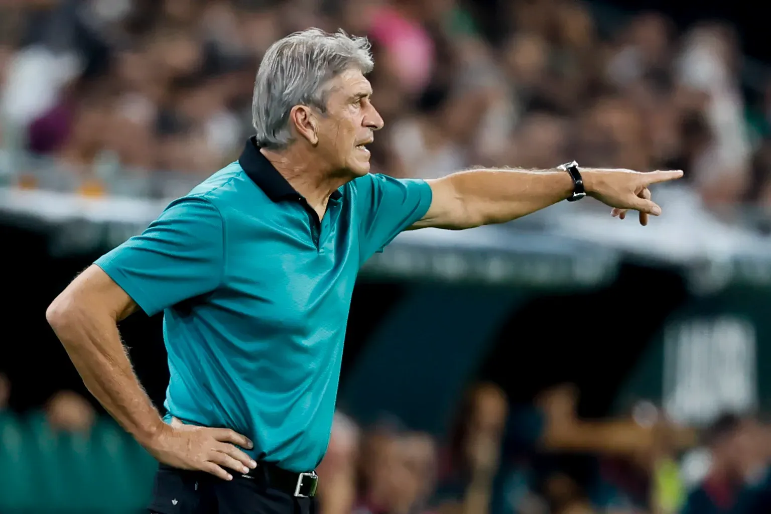 Pellegrini coloca FC Porto entre as equipas de topo na Europa