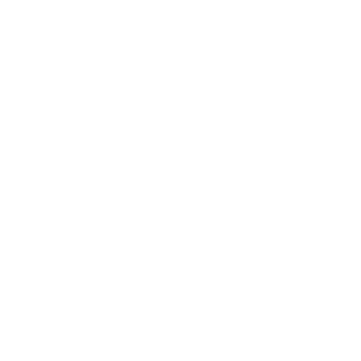 Futebol Feminino