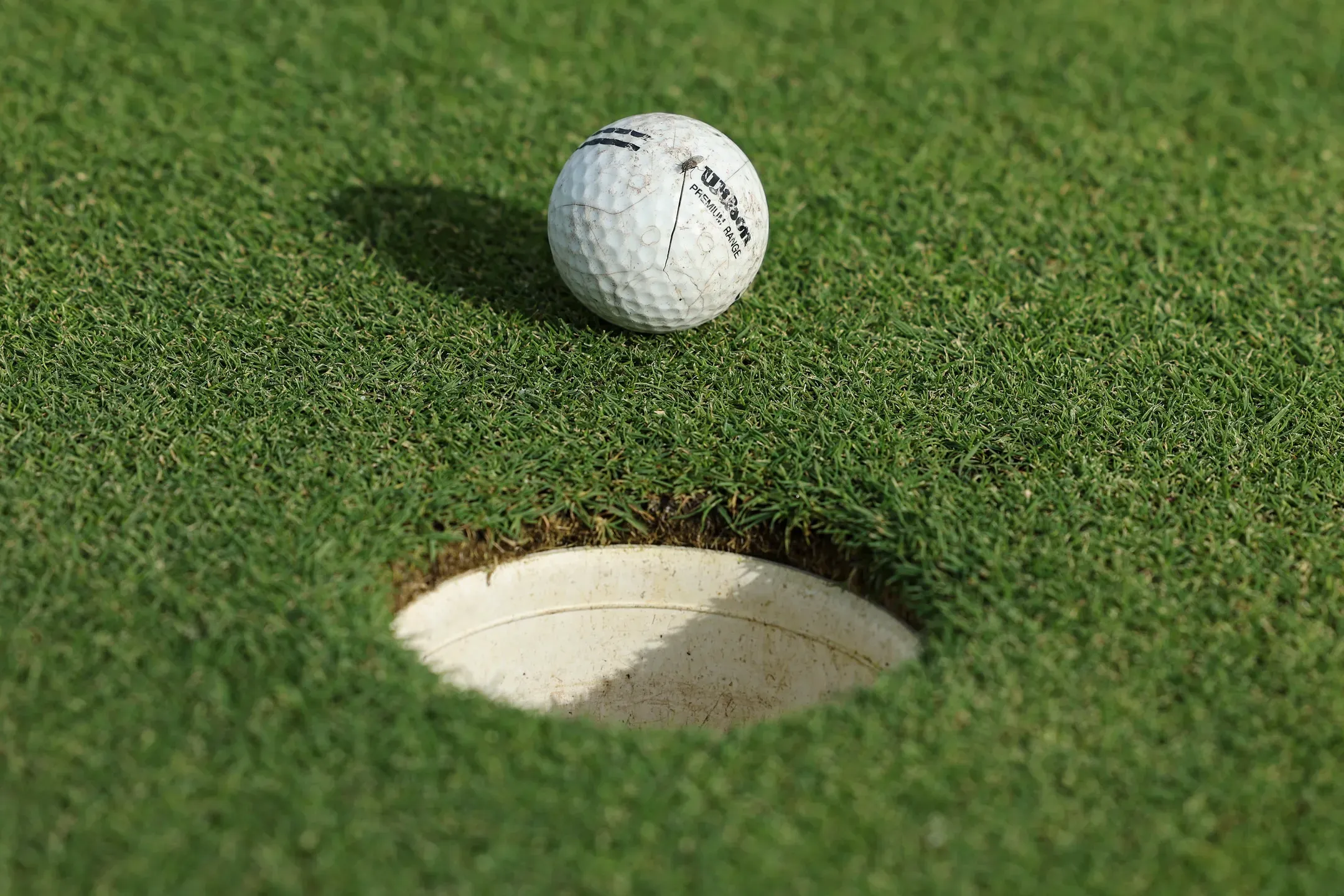 Wyndham Clark lidera isolado Open dos Estados Unidos